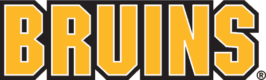 Boston Bruins 1995-2007 Wordmark Logo fabric transfer